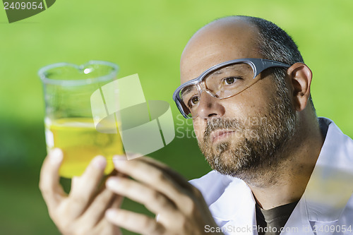 Image of Scientific laboratory investigated liquid