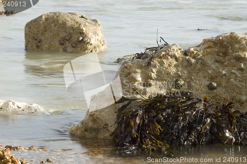 Image of Rocks in the sea