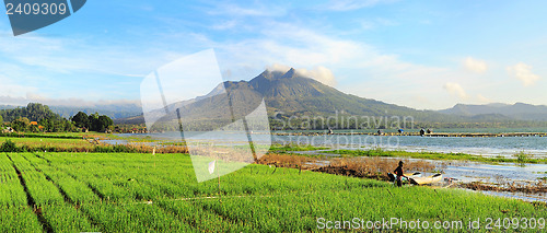 Image of Balinese landscape