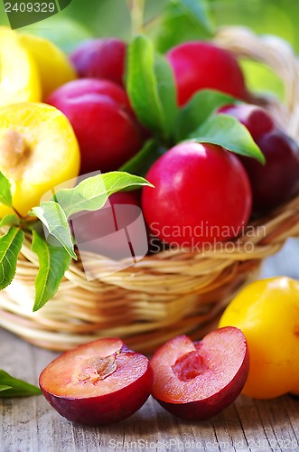 Image of plums in basket and cut plum on table