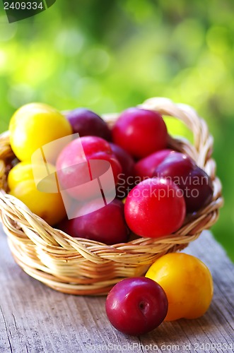 Image of fresh plums in the basket on table