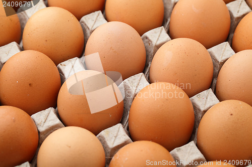 Image of Farm egg in cardboard