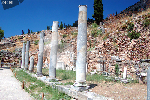 Image of delphi