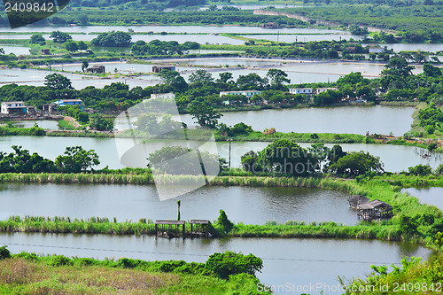 Image of Fish hatchery pond