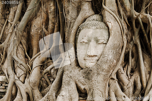 Image of Old tree with buddha head in Ayutthaya