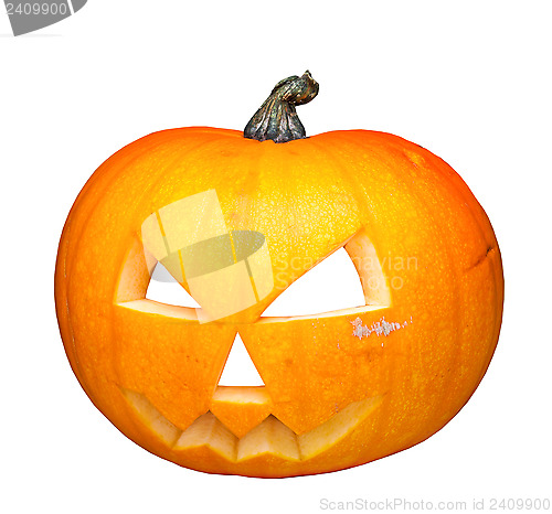 Image of halloween pumpkin