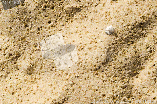 Image of sand with wet drops after light rain