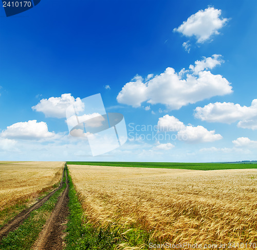 Image of rural road in golden agricultural field under cloudy sky