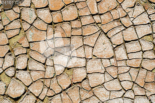 Image of cracked surface as texture