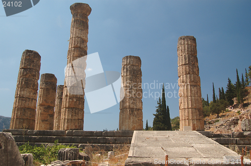 Image of delphi