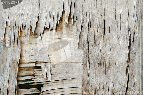 Image of wood texture