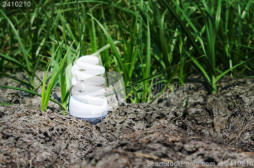 Image of light bulb between drought land and green grass