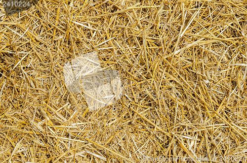 Image of straw as textured background