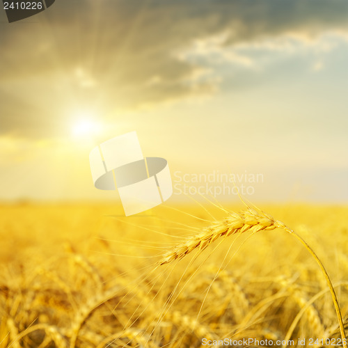 Image of sunset over golden field. soft focus