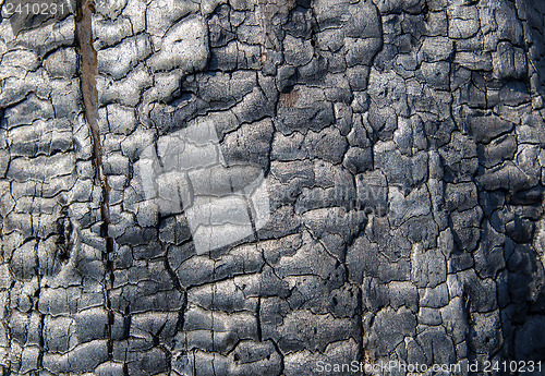 Image of burnt wood texture