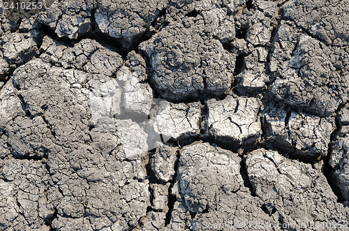Image of cracked land as textured background