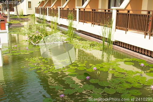 Image of Grounds of the Hotel Amari in Koh Chang