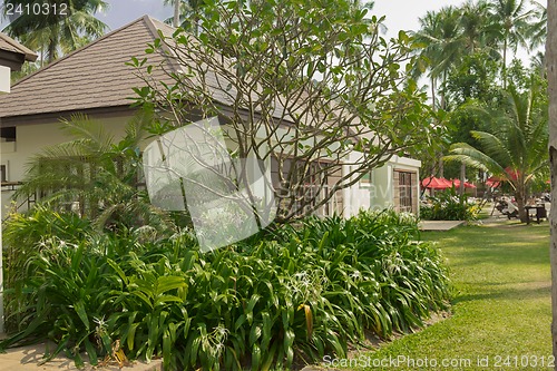 Image of Bungalow on the coast of the island of Koh