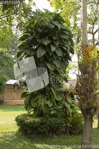 Image of Grounds of the Hotel Amari in Koh Chang