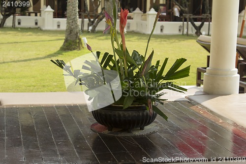 Image of Grounds of the Hotel Amari in Koh Chang
