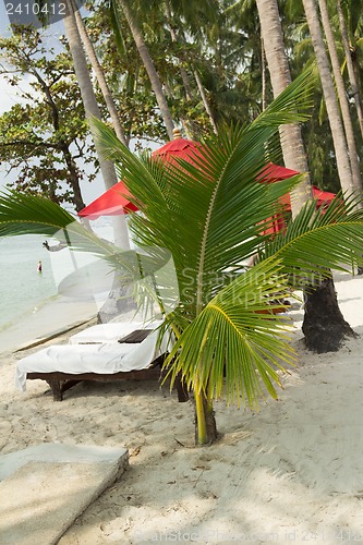 Image of The beach at the hotel Fmari