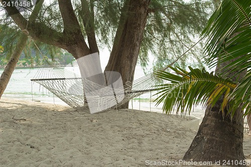 Image of The beach at the hotel Fmari