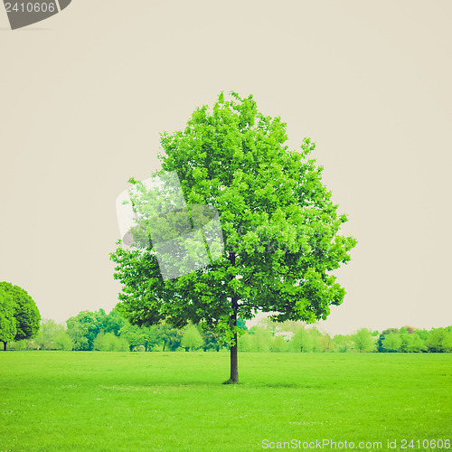 Image of Vintage look Urban Park