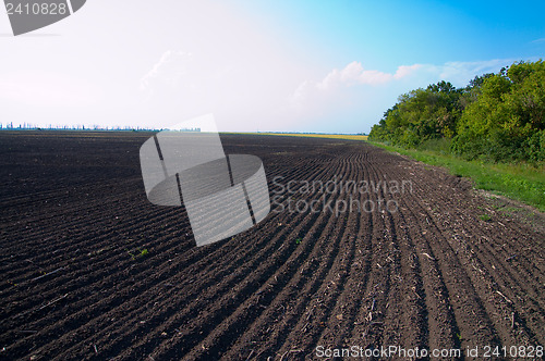 Image of cultivated field after cultivation of land