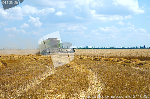 Image of harvest time. south Ukraine