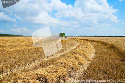 Image of harvest time. south Ukraine