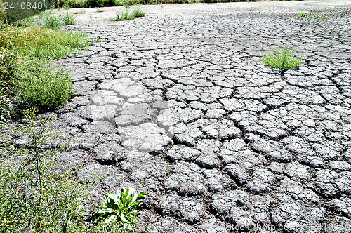 Image of dried lawn