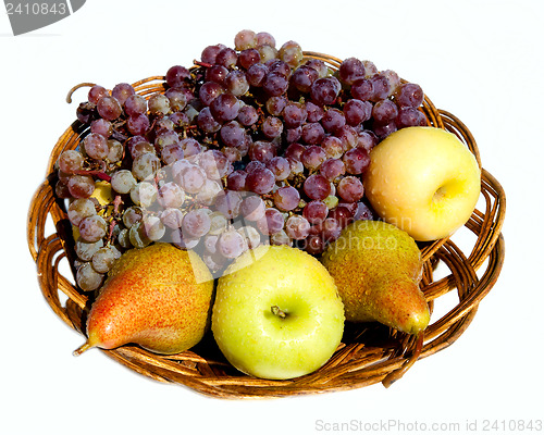 Image of still life with a vine, apples and pears