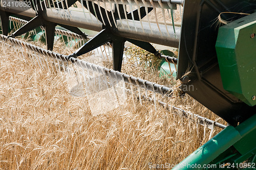 Image of harvesting time closeup to combine