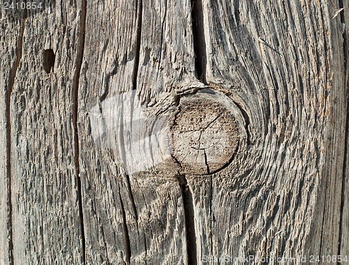 Image of textured surface of board with a twig