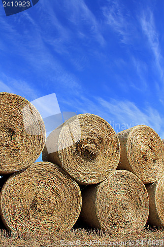 Image of Round Hay Bales against Beautiful Sky