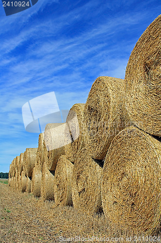 Image of Straw Bales by Edge of Field