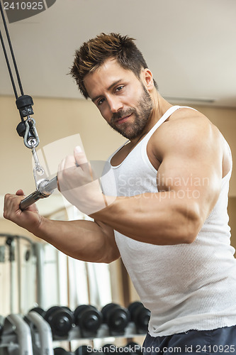 Image of bodybuilding man