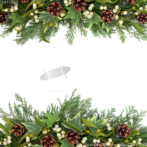 Image of Christmas Greenery Border
