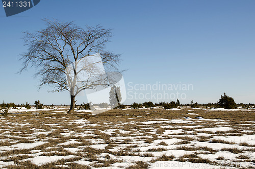 Image of Melting snow pattern