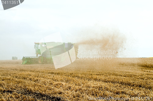 Image of Harvest time