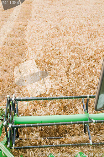 Image of Harvesting time