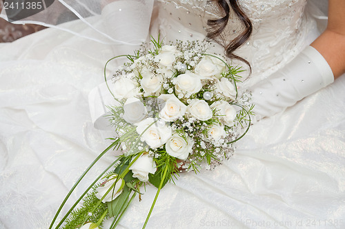 Image of white fine rose