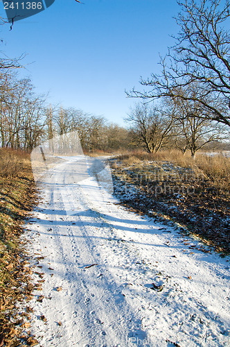 Image of winter road through the wood