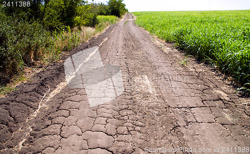 Image of a rural cracked road goes up between the field and forest