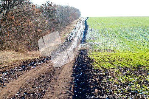 Image of rural road between fild and wood