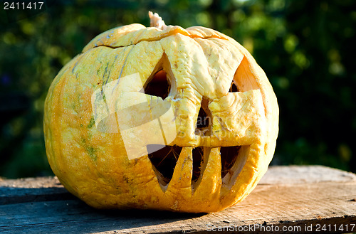 Image of helloween pumpkin in evening