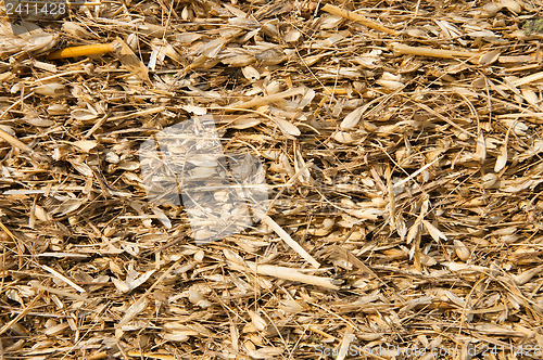 Image of gold color straw closeup as good texture