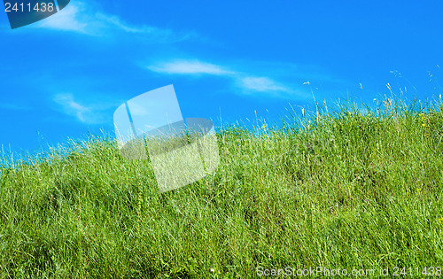 Image of deep blue sky and green grass