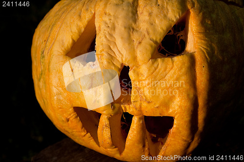 Image of Halloween pumpkin in evening