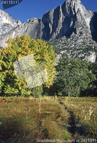 Image of Yosemite